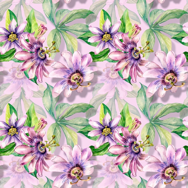 Passion flower plant watercolor seamless pattern isolated on pink