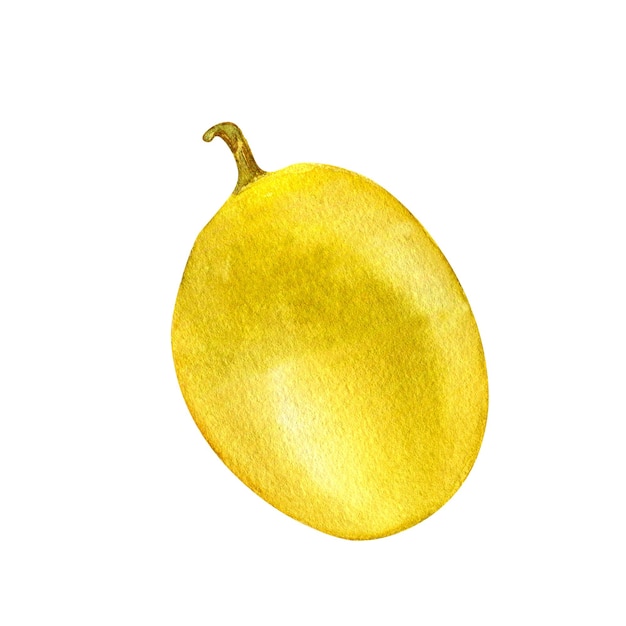 Passion fruit watercolor illustration isolated on white background