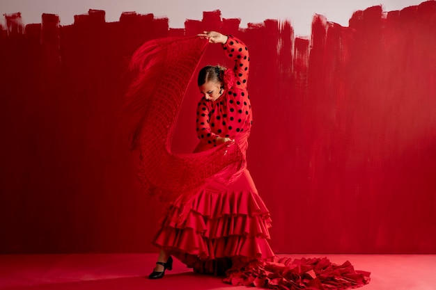 Passionate and elgant flamenco dancer