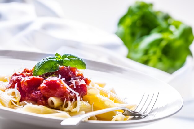 Pasta Penne with Tomato Bolognese Sauce, Parmesan Cheese and Basil. Mediterranean food.Italian cuisine.