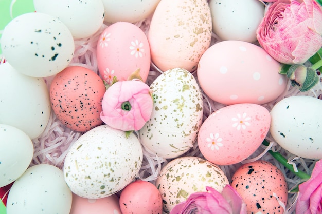 Pastel color Easter eggs and pink buttercups flower background