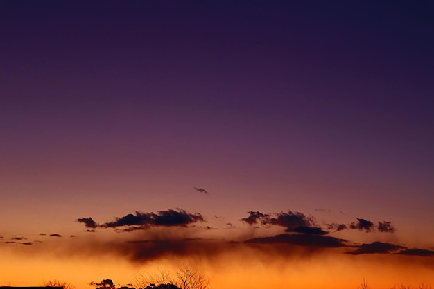 Pastel sunset sky with golden clouds silhouettes of trees