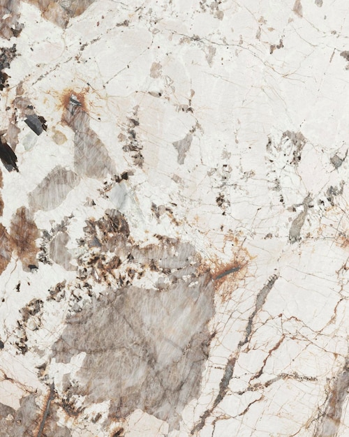 Patagonia Natural marble for Slab tiles designNatural marble texture