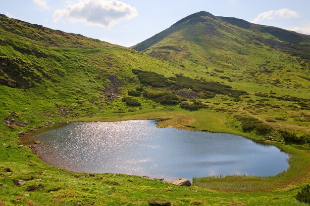 Patch of sunlight on Alpine lake Nesamovyte surface (Ukraine, summer mountain Chornogora Ridge, Carpathian Mountains)