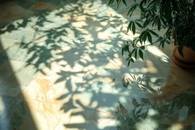 Photo a patch of sunlight and shadows cast by greenery