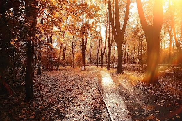 path autumn park / autumn landscape, yellow park in autumn trees and leaves, a beautiful sunny day in the city park. the fall