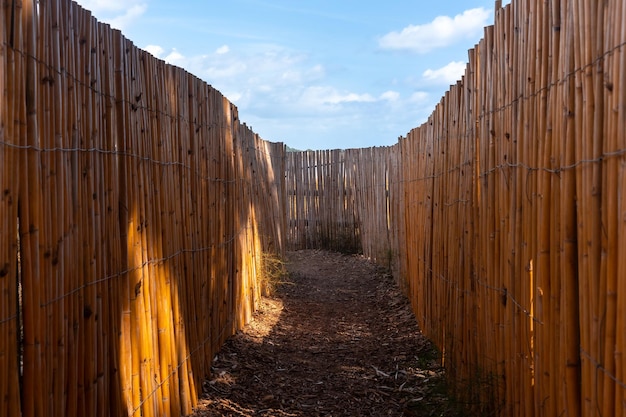 Path to the bird viewpoint in the Lagunas de la Mata Natural Park in Torrevieja Alicante