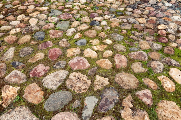 Path of decorative stones on the lawn Landscaping Background Space for text