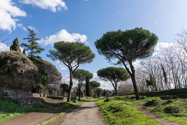 A path in a forest with trees on either side