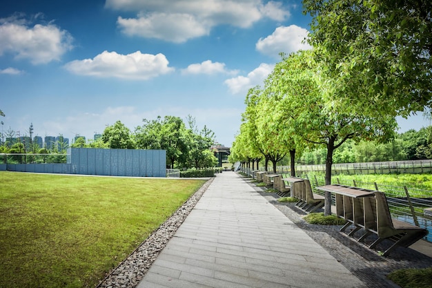 Path and nice city park with green trees in spring