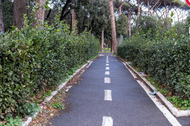 A path in a park with a white line down the middle