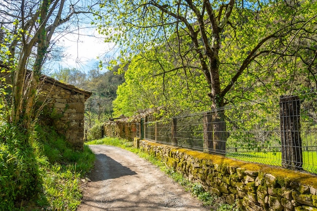 Path between the Tornin to the Olla de San Vicente near Cangas de Onis Asturias Spain