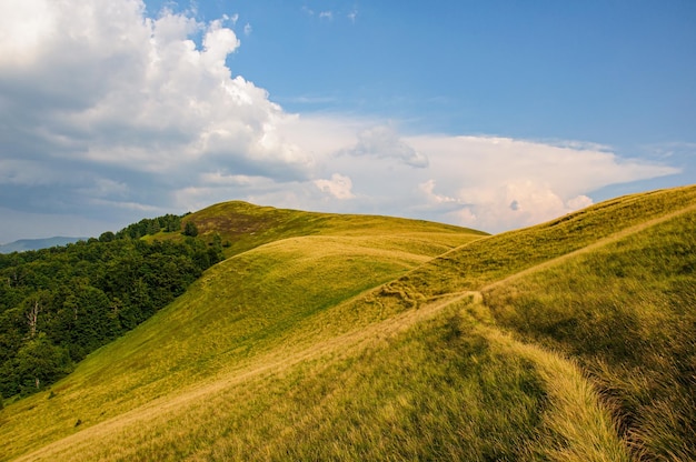 A path winds along a grassy slope in the Carpathian Mountains, Ukraine