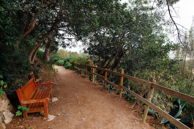 Path with wooden bench through green areas of famous Antonio Gaudis park in Spain Alley among picturesque garden with beautiful wild plants in Barcelona