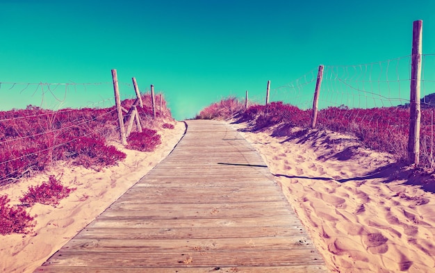 Path of wooden slats towards the beach. Vivid grass and vegetation. Dreamscape in coastline.