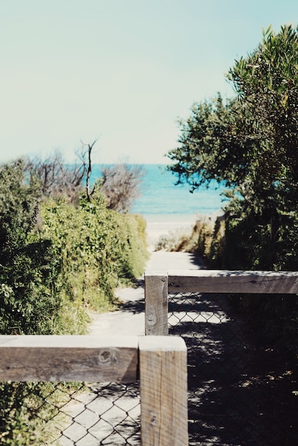 A pathway to the beach.