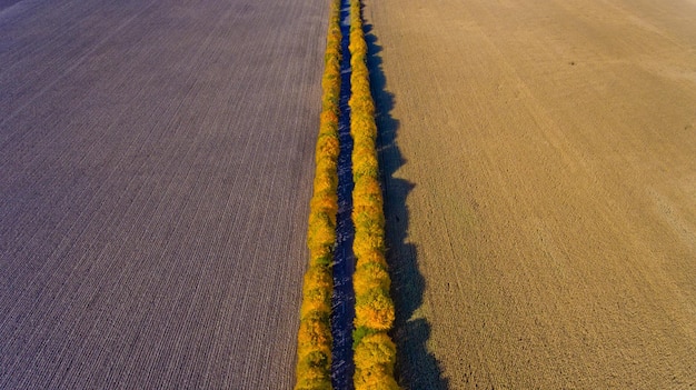 Pathway in the bright autumn Top view