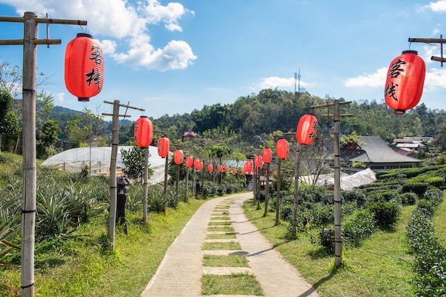 Pathway decorate with red chinese lantern