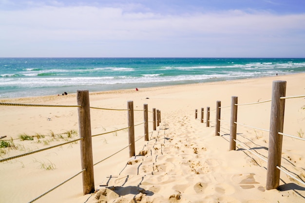 Pathway dunes access of sand beach in La jenny park near Lege cap-ferret in France