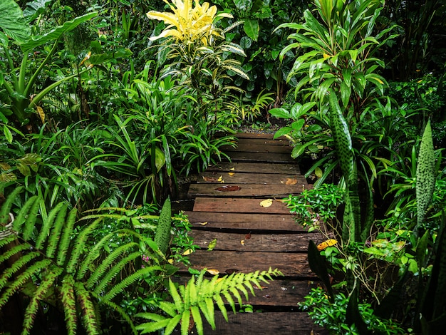 The pathway in the garden is invigorating.