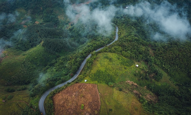 Pathway on the mountain in the rain season at doi chiang rai thailand