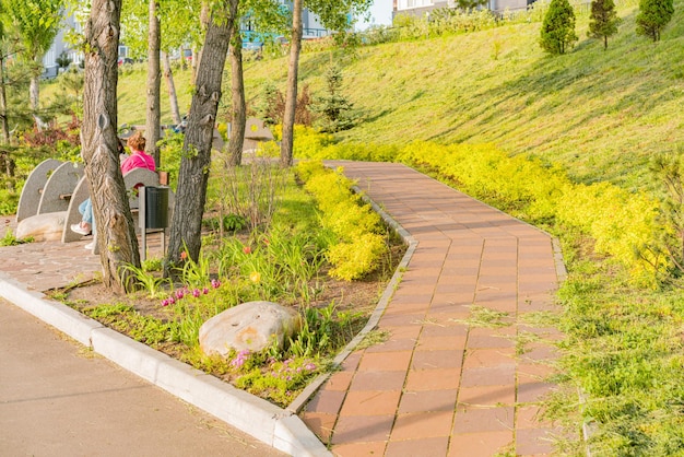 Pathway for walking inside a park with decoration Field Sunny City Meadow Sun Walkway Bench Direction Peaceful Perspective Public Recreation Relaxation Rest Clear