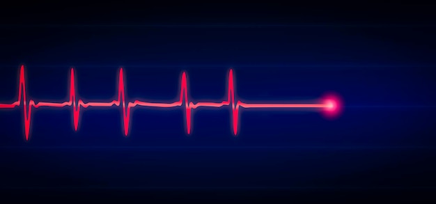 Patient monitor showing vital signs ECG and EKG Vector illustration