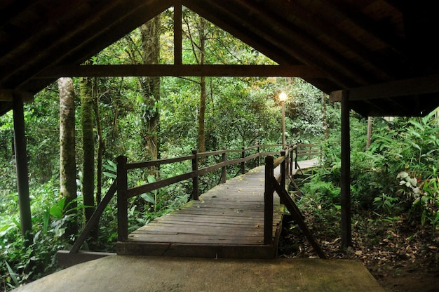 Patio exterior design terrace outdoor and wood bridge footpath for Malaysian people and foreign travelers travel visit and relax rest at resort hotel of Kota Kinabalu in Borneo City at Sabah Malaysia