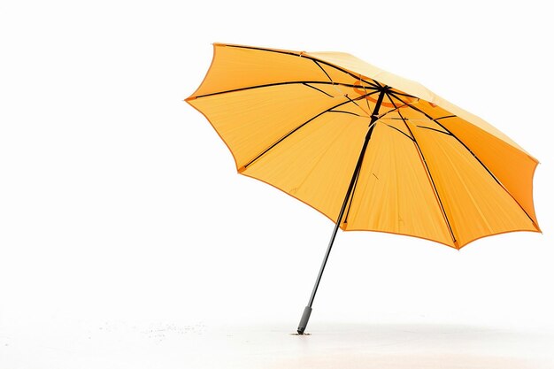 Patio Umbrella On White Background