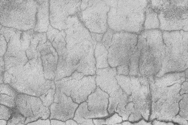 pattern of the cement wall and caused the crack.