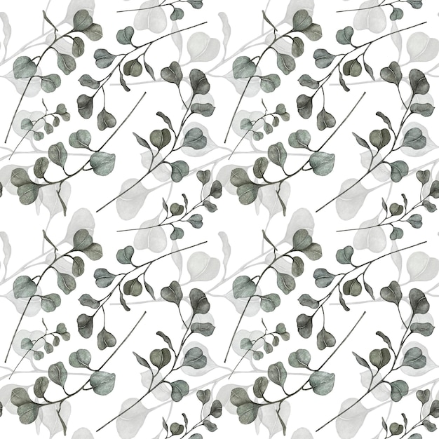 Pattern of eucalyptus branches