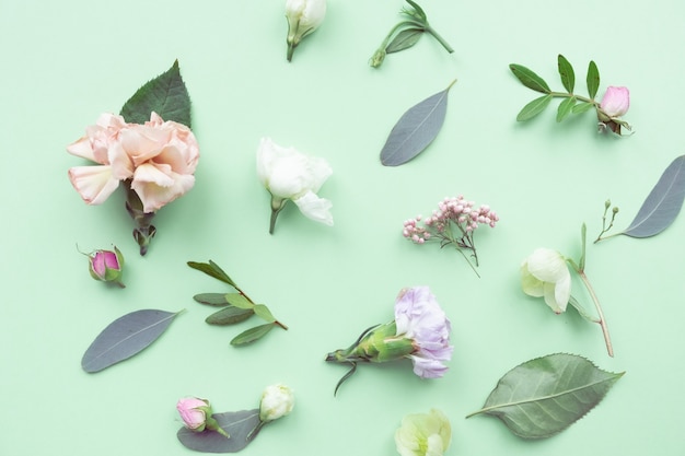 Pattern floral with rosebuds, delicate white flowers, branches, leaves and petals on a green background. Flat layout, top view