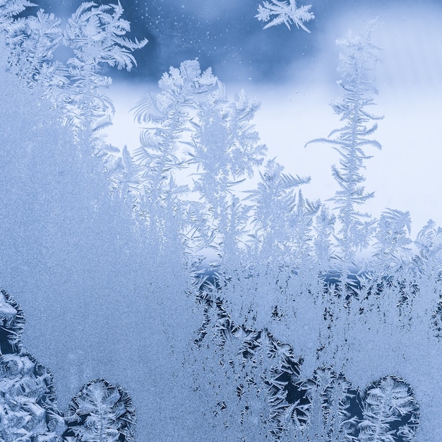 Pattern on the frosted winter window