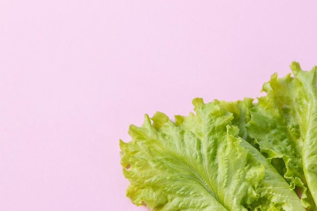 Photo pattern of lettuce leaves on pink background