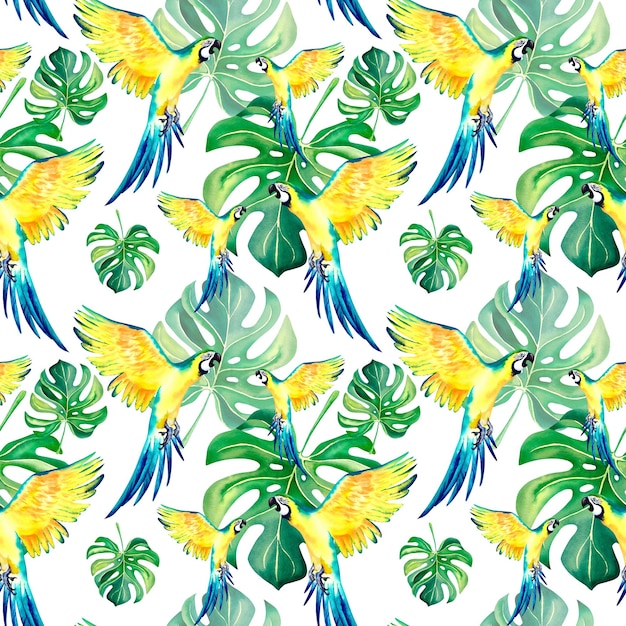 A pattern of macaws monstera parrots Tropical collage Watercolor animals Exotic birds Yellowgreen macaw parrot Watercolor illustration