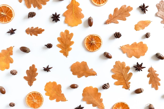 Pattern made from oak leaves dry orange anise acorns cones