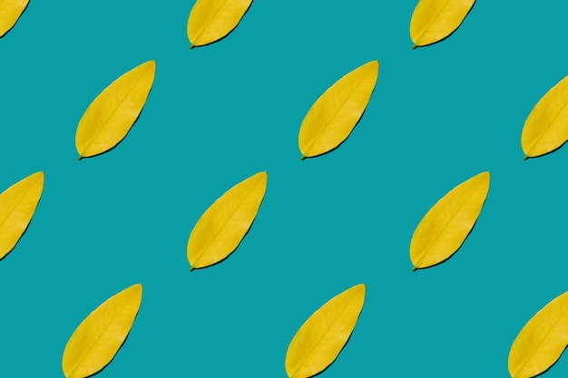 Pattern made of yellow leaves with shadow on blue background.