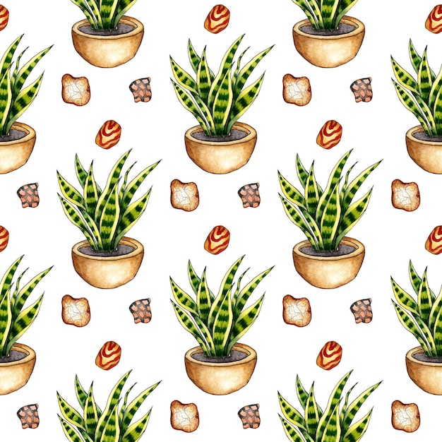 Pattern motley grass in a pot and stones watercolor