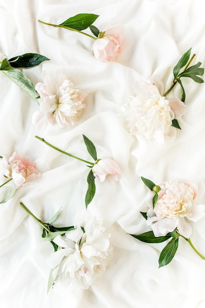 Pattern of pink and beige peony flowers peony texture flat lay top view