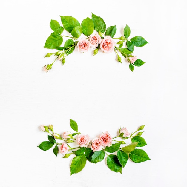 Pattern of rosebuds on a white background