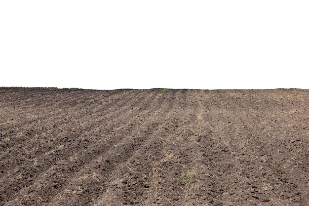 Pattern of rows in a plowed field on an isolated white background