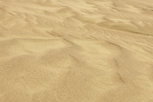 The pattern of the sand