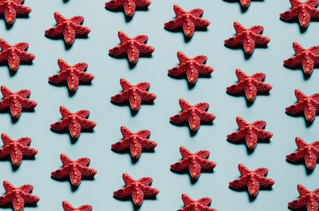 Pattern of starfish over a pastel blue background, minimalism, design and digital resource, background with copy space