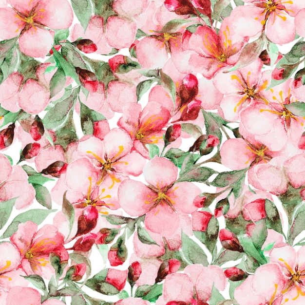 Pattern of watercolor sakura flowers