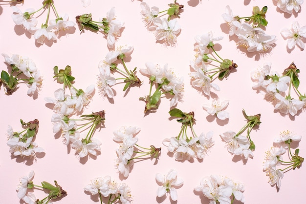 Pattern of white cherry flowers on a pink