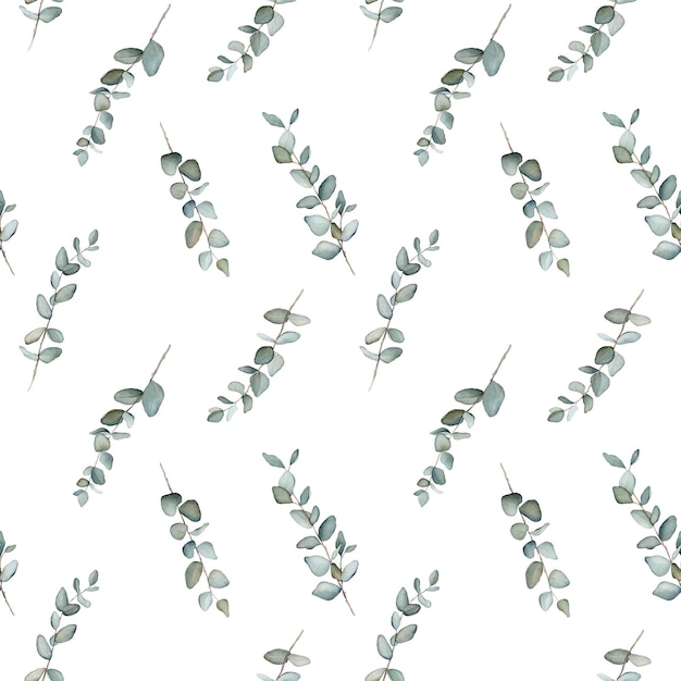 Pattern with green eucalyptus leaves Botanical natural Seamless  for textile design and other