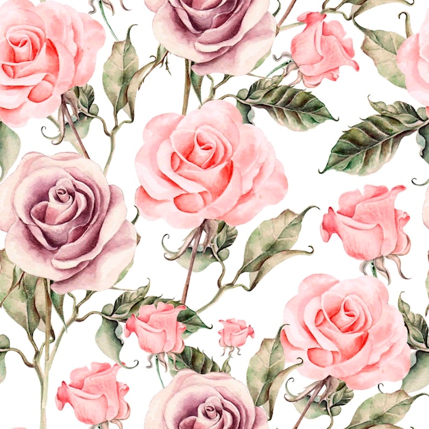 Pattern with watercolor realistic rose