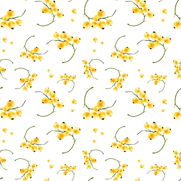 Pattern Yellow currant Watercolor seamless handdrawn illustration isolated on a white background