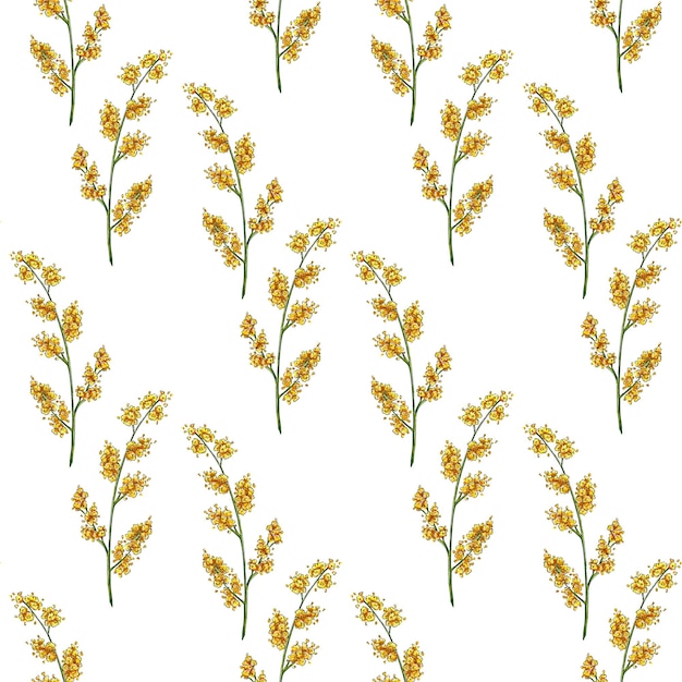 Pattern yellow mimosa flowers watercolor