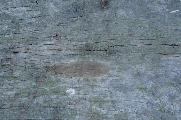 Patterned old decayed wood background